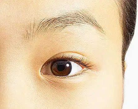 局部,特写,棕色眼睛