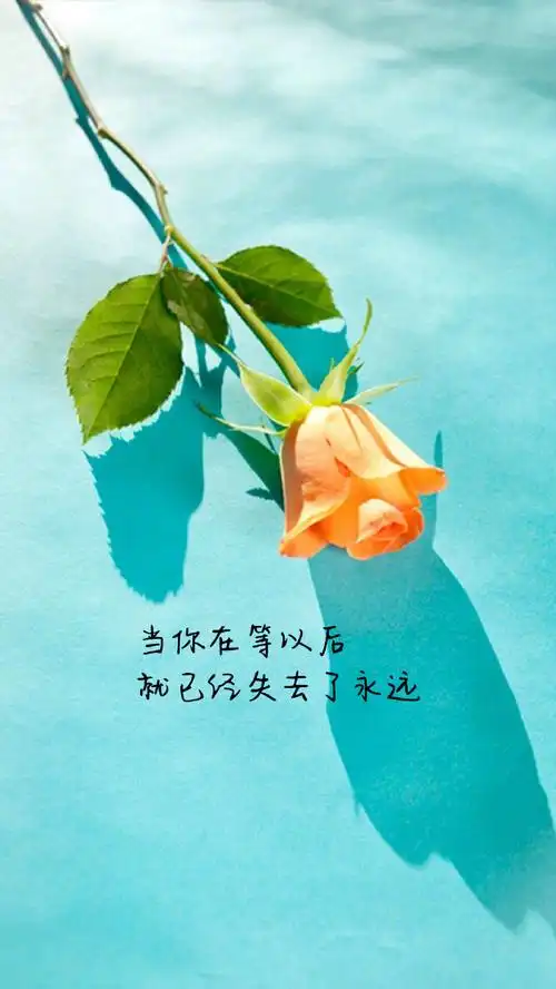 个性简约非主流图文 高清带文字语录图片,文字,文字,唯美,文字图片,非