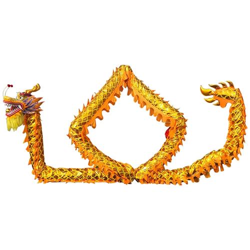 定制舞龙道具舞狮龙灯龙头比赛儿童学生幼儿运动会九节龙整套灯光