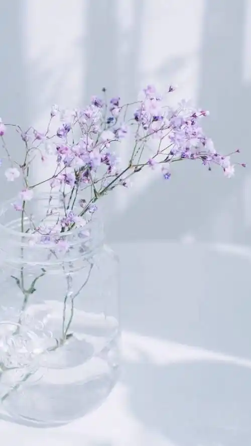 满天星 - 堆糖,美图壁纸兴趣社区