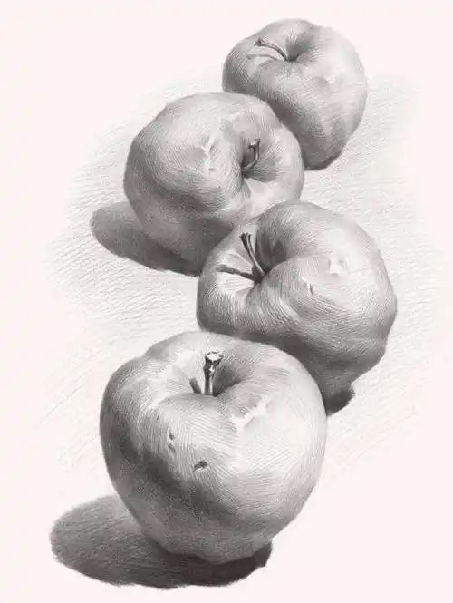 素描静物中各种不同的单体到底该如何画你被这些苹果支配过吗