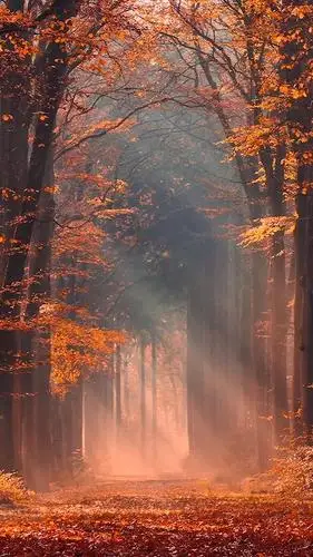 感受大自然的美才知生命的可贵愿时光温柔你好静好大自然风景旅行