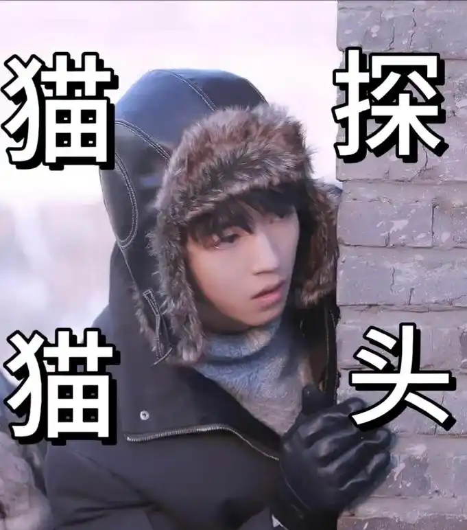 猫猫表情包系列.未完待续…… #王俊凯 #王俊凯让人心动的n - 抖音