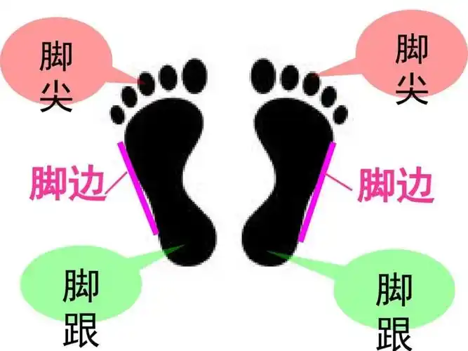 我和小脚丫的一周