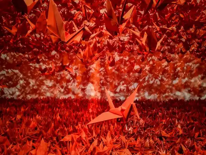千纸鹤