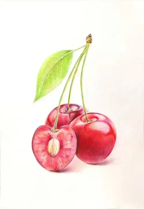 超写实的水果彩铅画,彩铅手绘美术作品