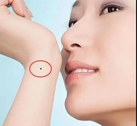 主页 相术大全 痣相若女人手腕上是吉痣,那么代表着这个女人很勤劳