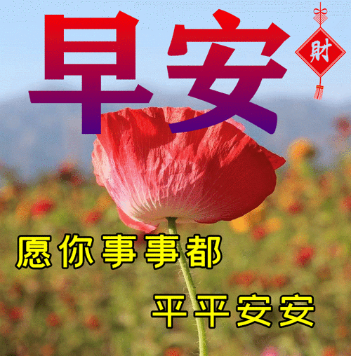 新的一天早上好春日祝福美句,免打字聊天问候早安快乐精美动态表情包