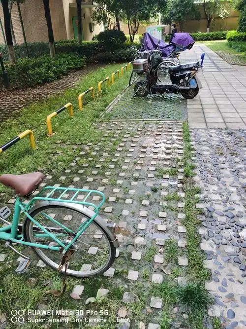 关于汉口传奇改造植草砖设置电动车棚的意见征询