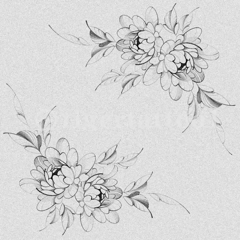 女生素花精致纹身手稿|女神素花纹身 9张精致纹身手稿,适合高水平纹身