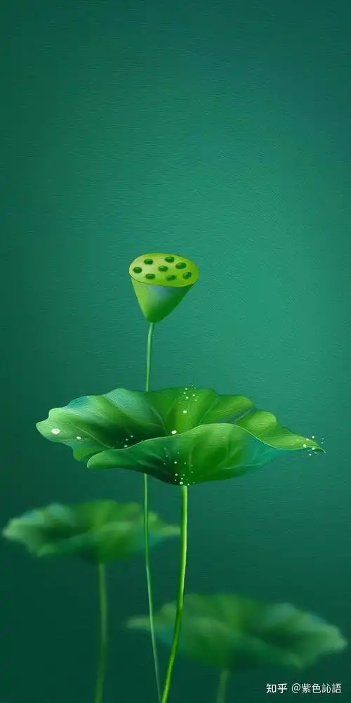 让人心静的手机壁纸