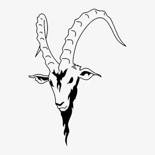 黑白轮廓动物图案