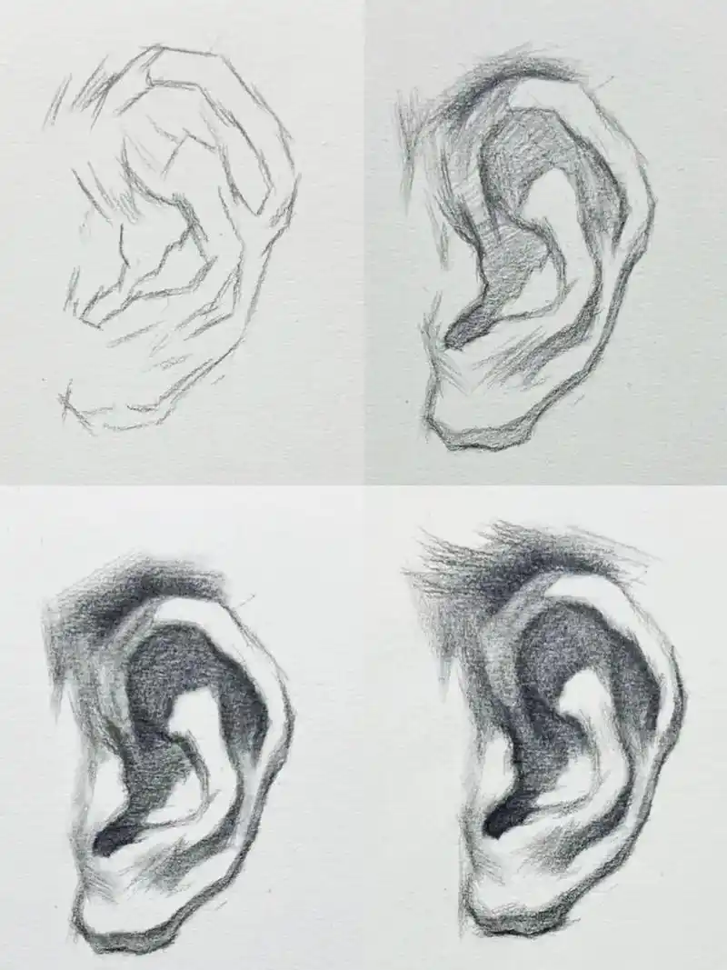 第一步:先画出耳朵的形状. - 抖音