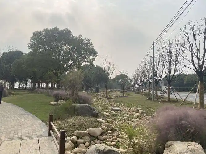 看,大家都在做雨水花园