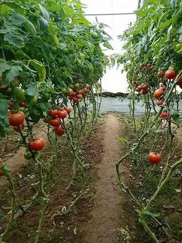 2018年11月6日舞蹈队姐妹们去河北怀来帝曼温泉一日游! - 美篇