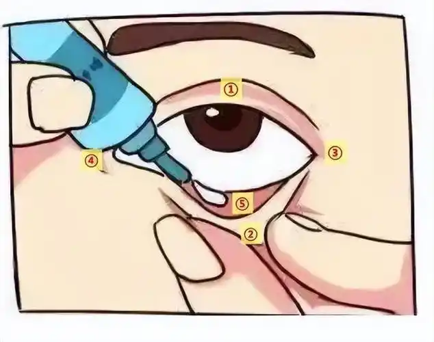 下眼睑|内眼角|制剂|眼膏_网易订阅