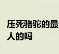 压死骆驼的最后一根稻草是什么意思这是讽刺人的吗