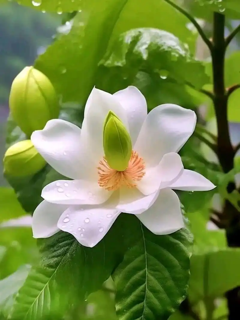 中年人身上还有爱吗?有,但不多,也不再纯粹.