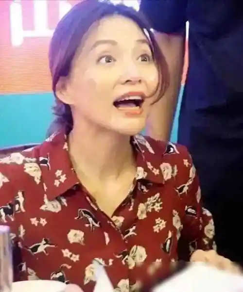 原创49岁董卿近况引关注老公欠债成老赖引热议大变样憔悴似村姑