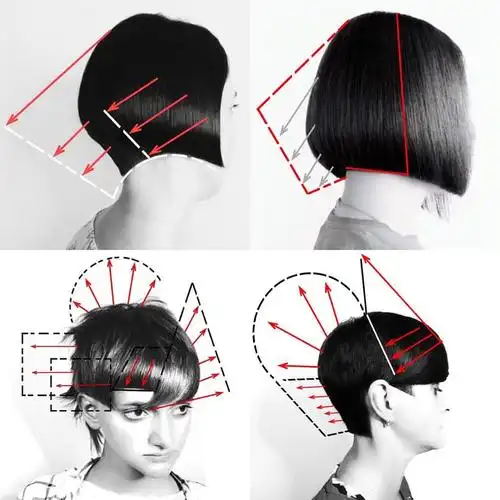 想剪好发型你要先看懂发型结构图