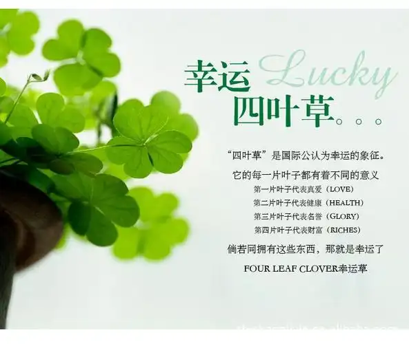 新款韩版耳钉四叶草花朵高档贝壳珍珠耳环丽银精品耳饰小额混批