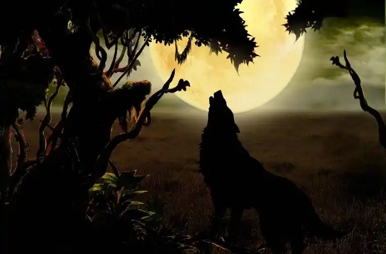 配乐诗朗诵孤狼作者宛如玉音乐编辑托尼朗诵老榕树下