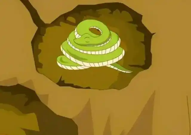 将蛇放进冰箱,它会进入冬眠吗?为什么?