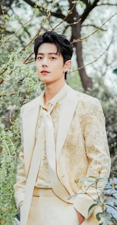 肖战微博之夜#童话里走出来的小王子!这一身也挺90礼服感的!