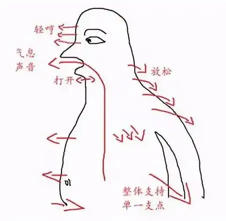 只有练好了丹田的力量,学会丹田发力咬字,才能实现用腹部的气息发声