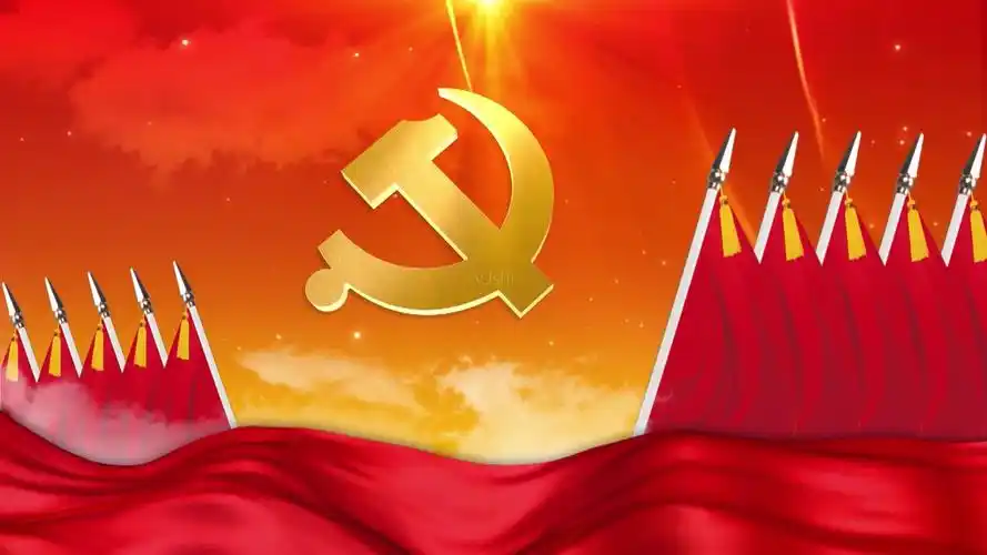 朝阳社会组织服务管理平台