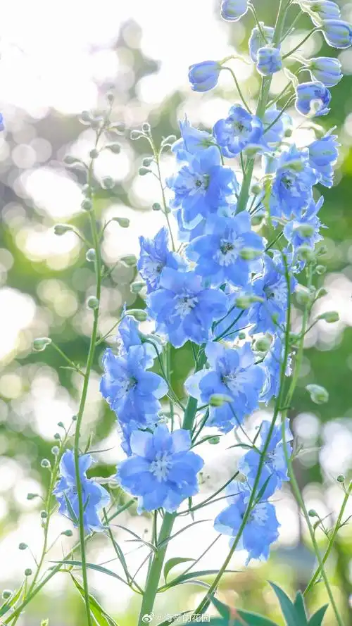 690_1227竖版 竖屏