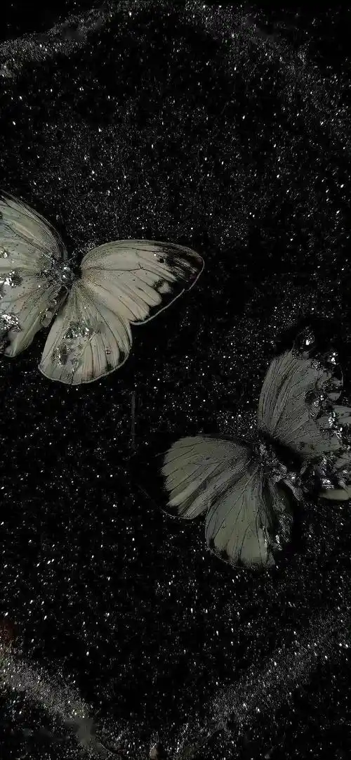 壁纸|来换ins新壁纸啦