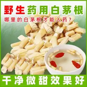 白茅根新鲜野生