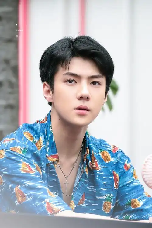 exo 吴世勋 se hun