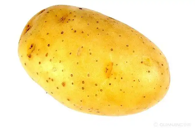 土豆图片_图片大全