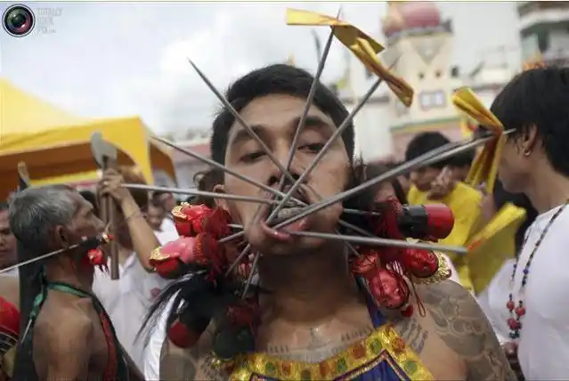 近乎变态的泰国血腥穿刺时尚(图)