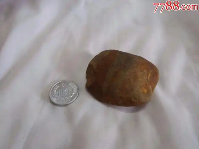 罕见棕褐色石陨石