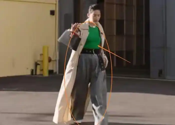 刘亦菲在海外失宠了?