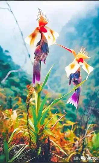 347_567竖版 竖屏