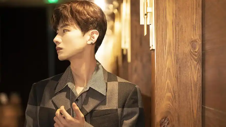 白敬亭格纹西装时尚帅气写真