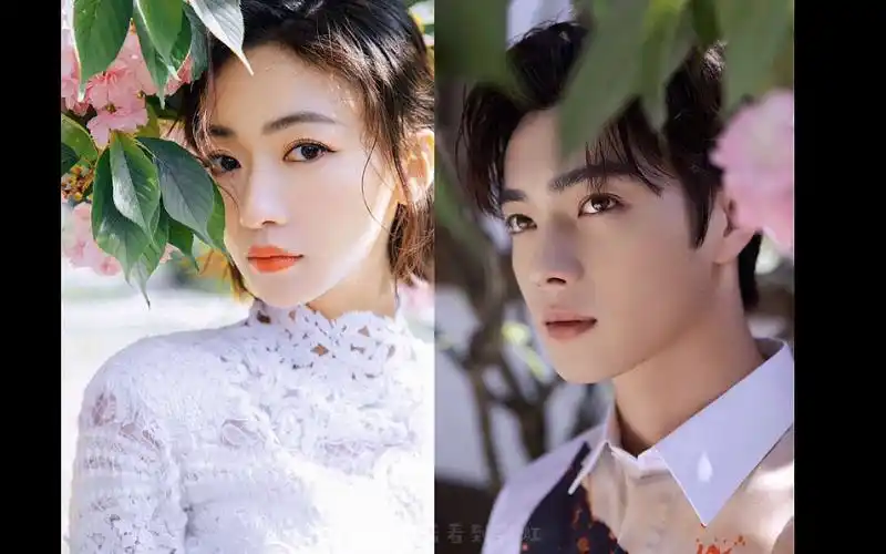 凯言许凯吴谨言你们不会真的是真的吧