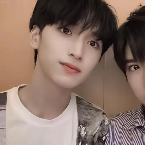 翔霖严浩翔贺峻霖cp头像