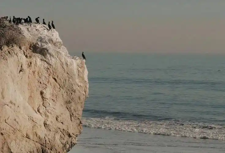 19岁网红小伙被邻居用利器刺重伤,千万别和一个"疯