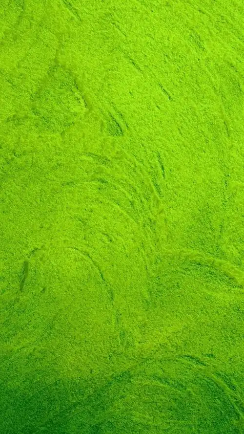 iphone 壁纸 绿色纹理纸
