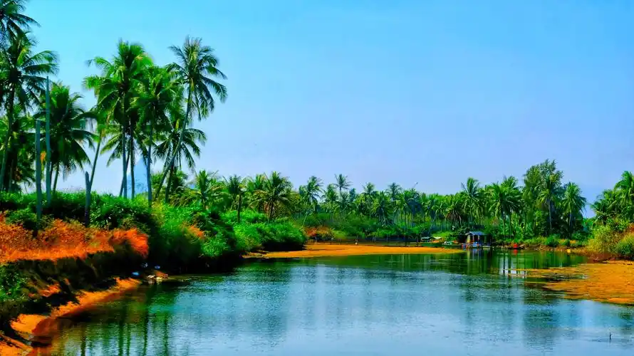 椰子洲岛在三亚的哪个区域