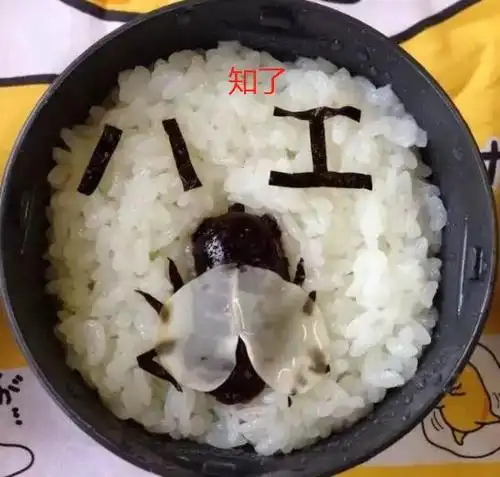 日本妈妈"恶心料理"火了,把儿子逼上东京大学:这辈子不想吃了