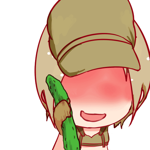 穿越火线中角色众多,很多漂亮妹子和帅哥也有猥琐的斯沃特大叔,下面为