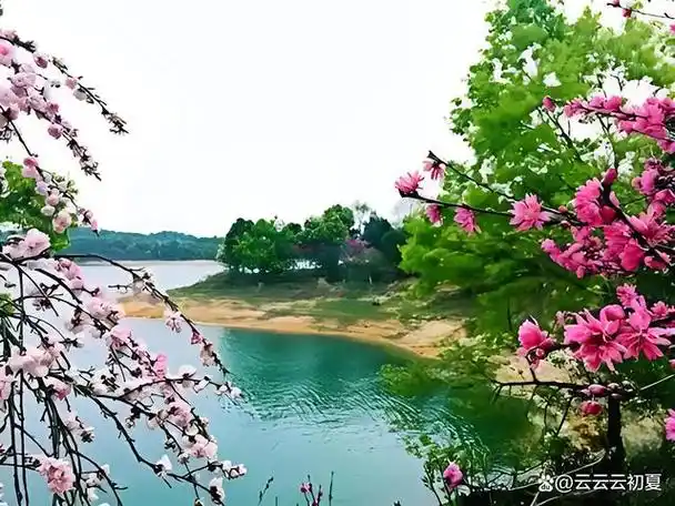 10首最美桃花诗桃花流水窅然去别有天地非人间