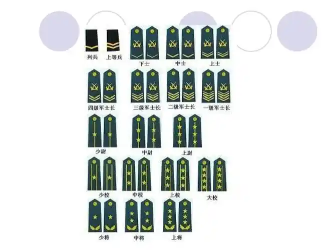 中国人民解放军军衔制度及识别ppt_word文档在线阅读与下载_无忧文档