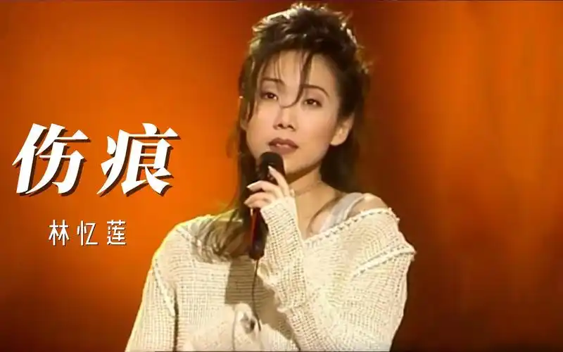 林忆莲《伤痕》,这个小眼睛的女人别有一番韵味,其实挺迷人的,也是